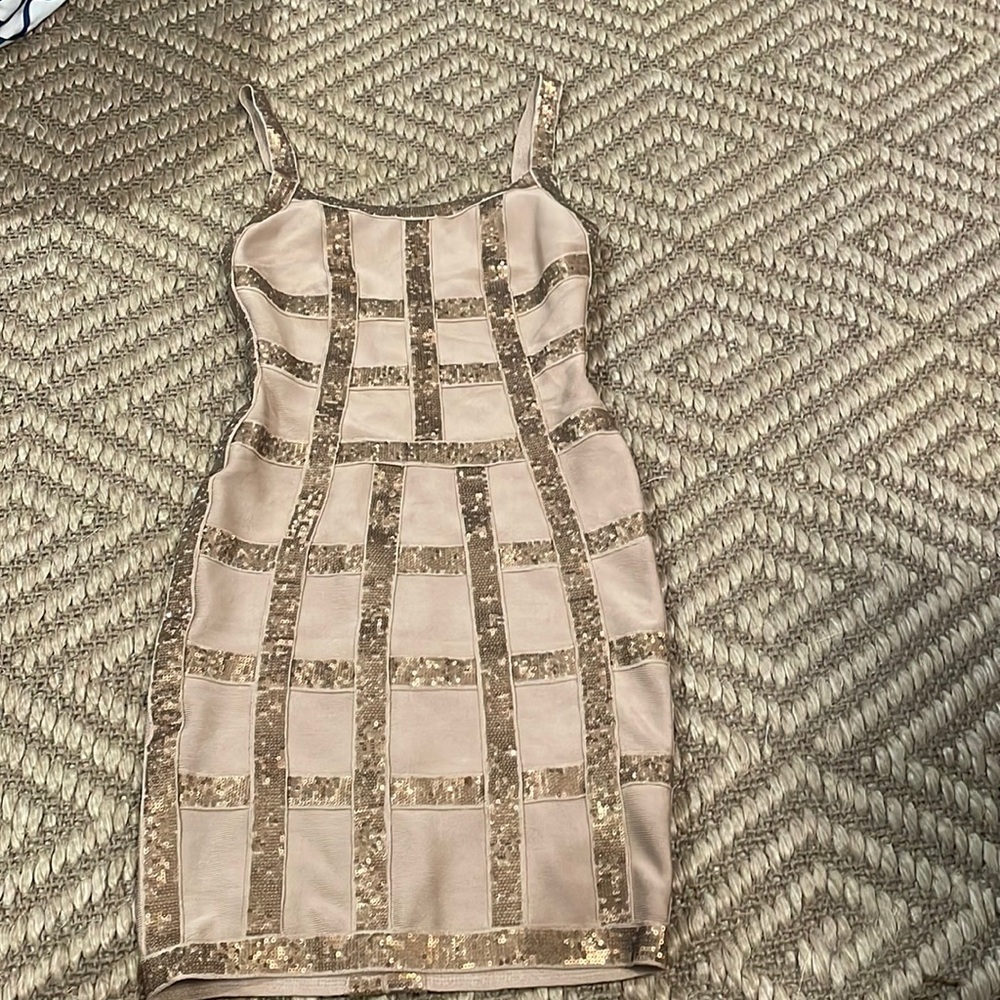Herve Leger Sequin Dress